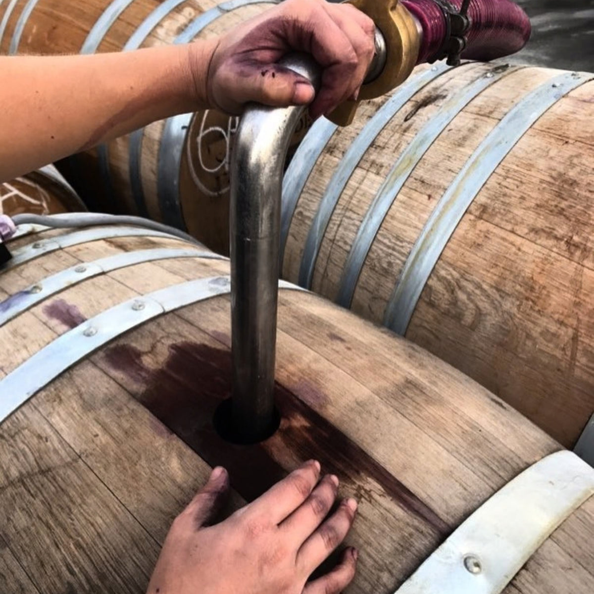 Brave Souls The Whaler Shiraz 2025