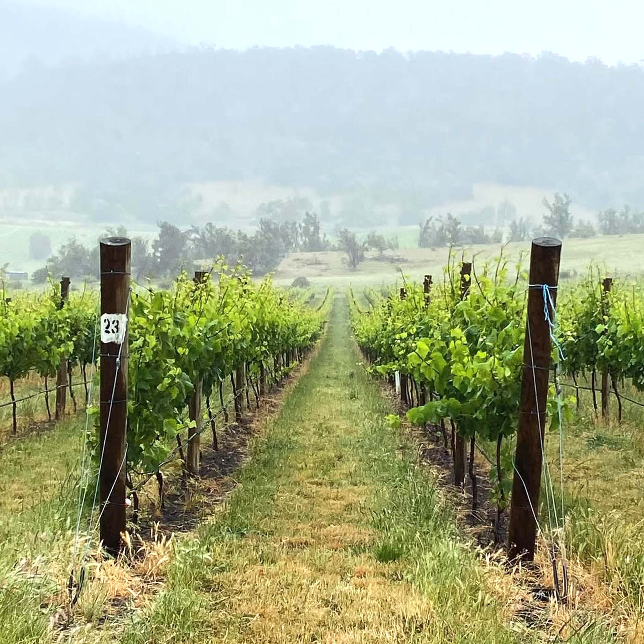 Philosophy | Bremley Vineyard