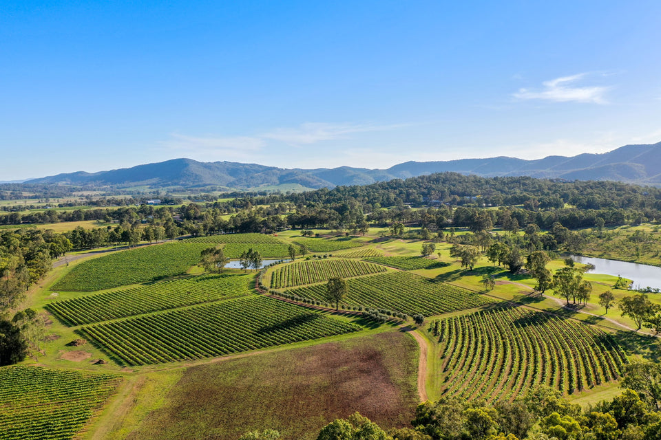 The Vineyard brand story