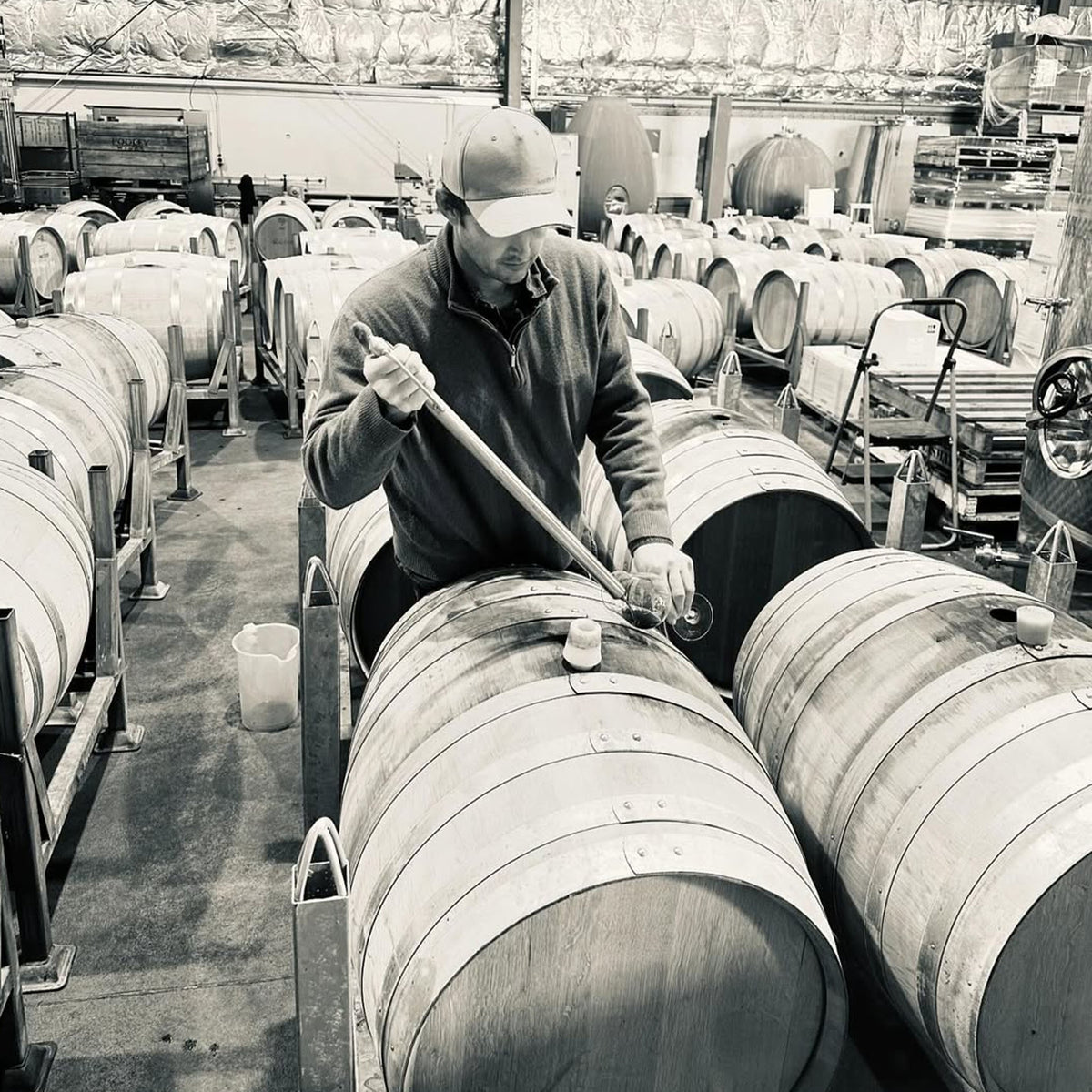 Pooley Pinot Grigio 2025