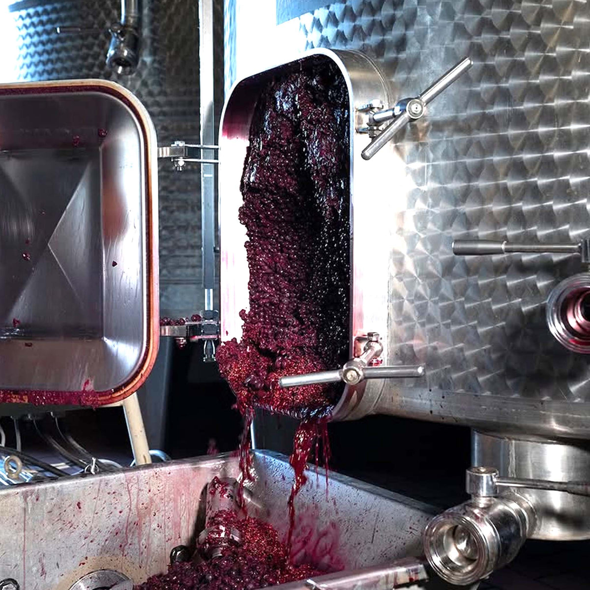 Buccia Nera Tenuta di Campriano Chianti Riserva 2018