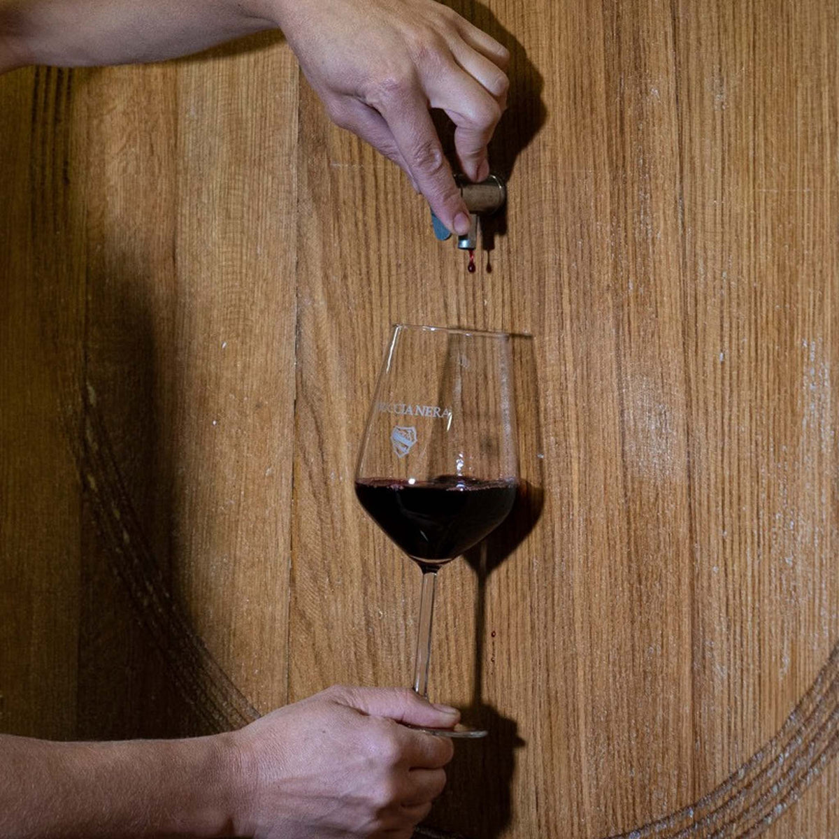 Buccia Nera Tenuta di Campriano Chianti 2024