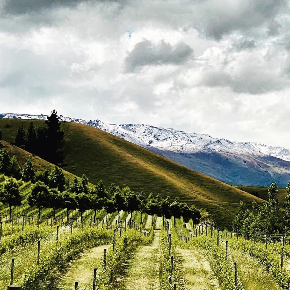 Burn Cottage Vineyard Riesling Grüner Veltliner 2022