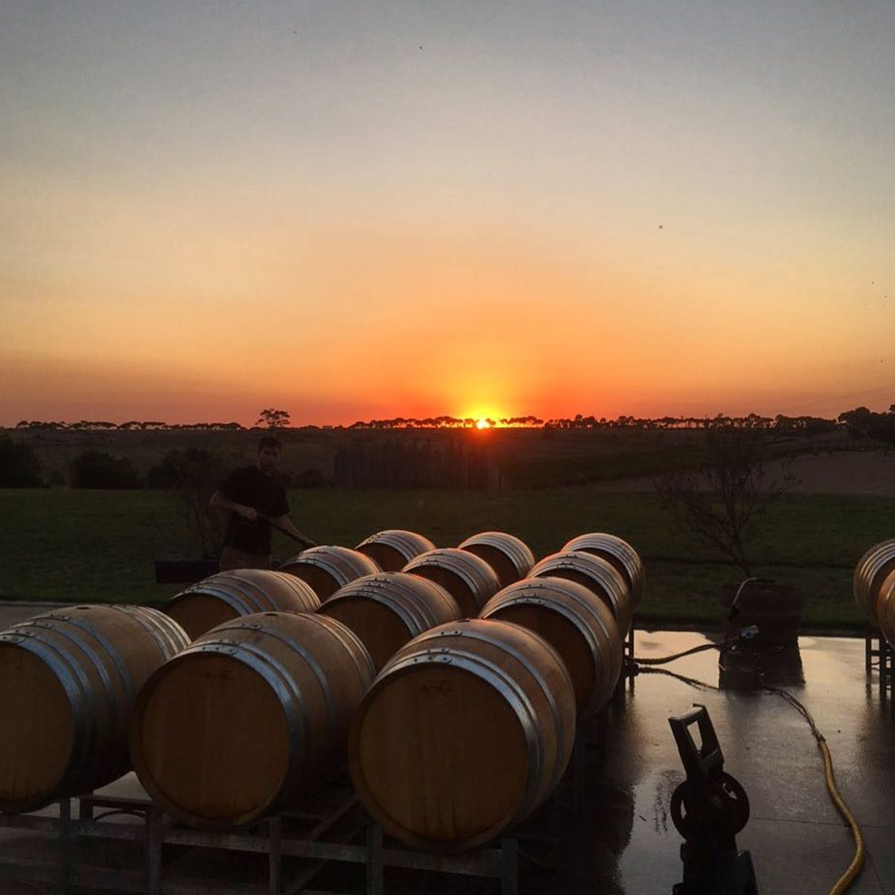Farr Rising Geelong Pinot Noir 2024