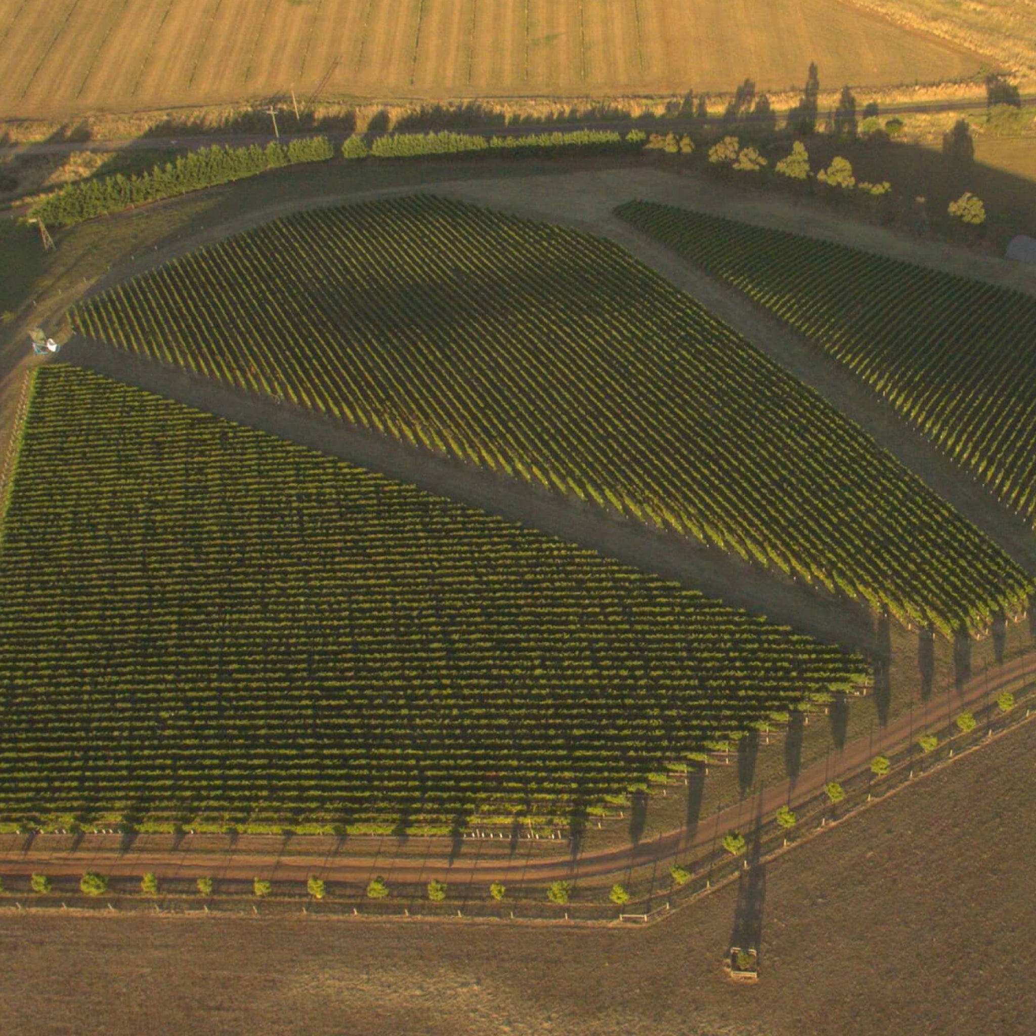 By Farr Chardonnay 2025