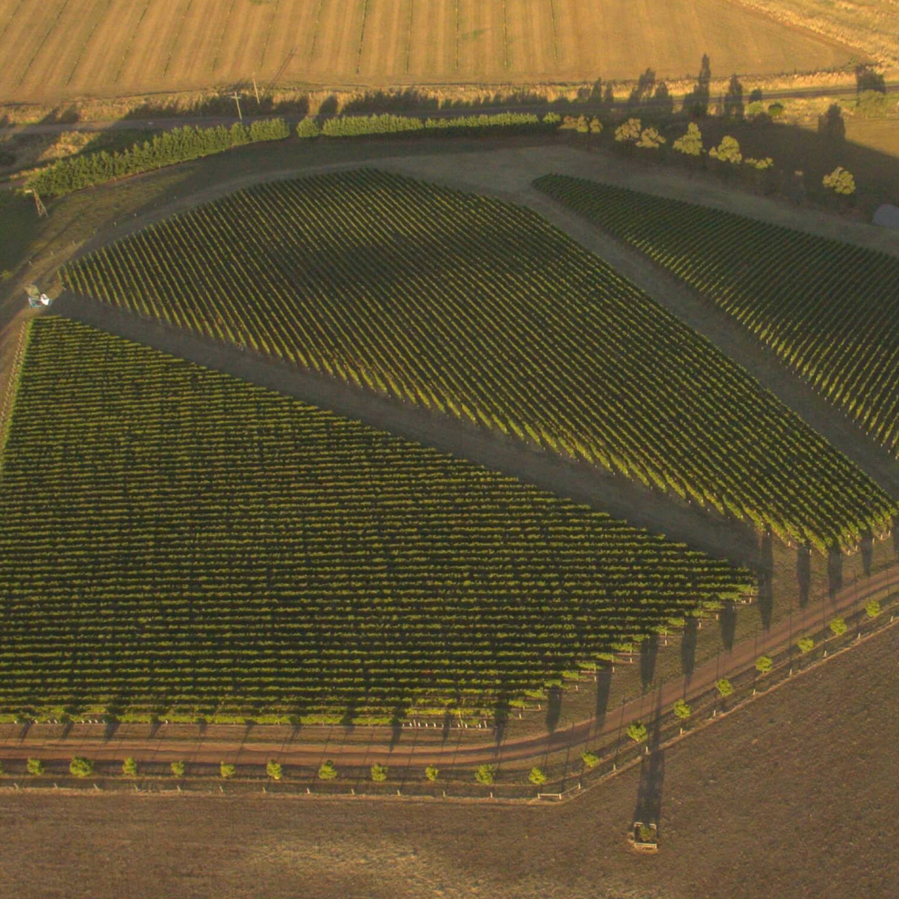By Farr Chardonnay 2025