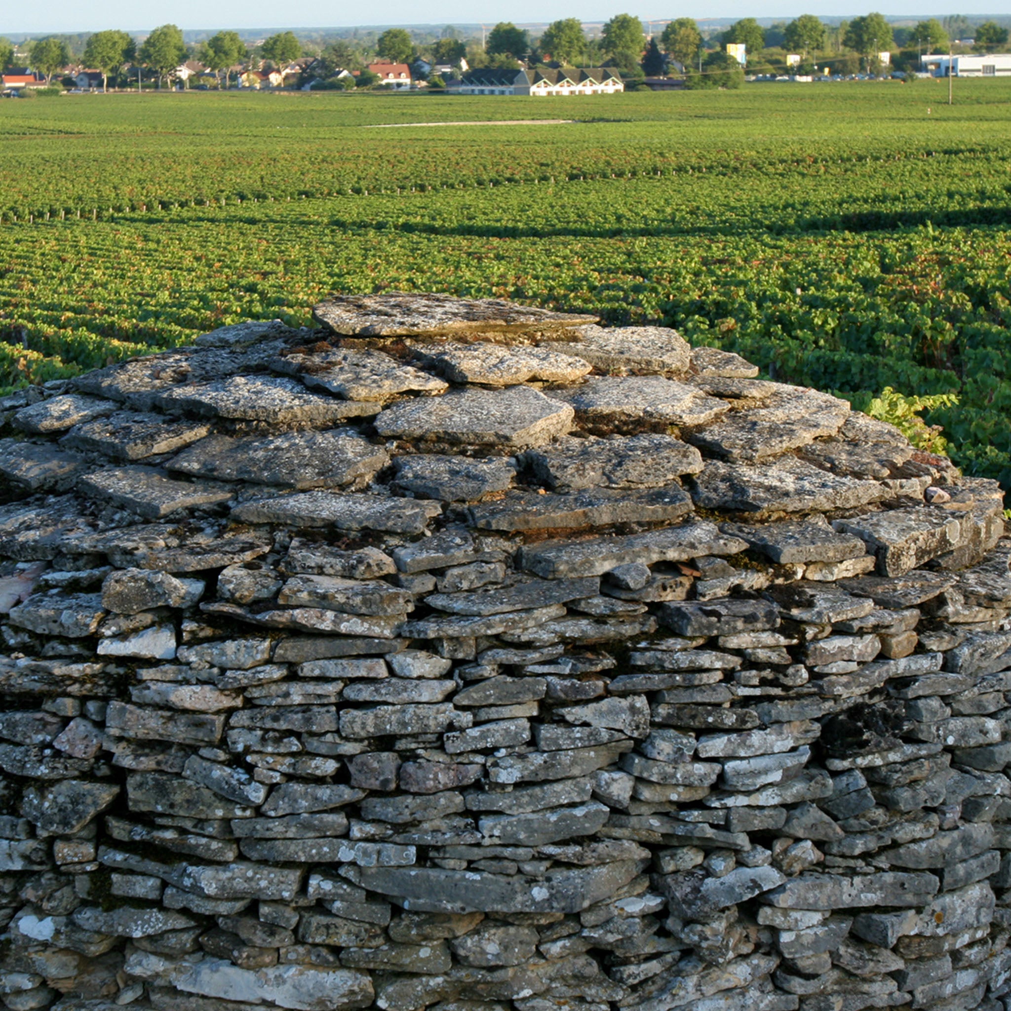 Louis Jadot Les Fourchaume Chablis 1er Cru 2021