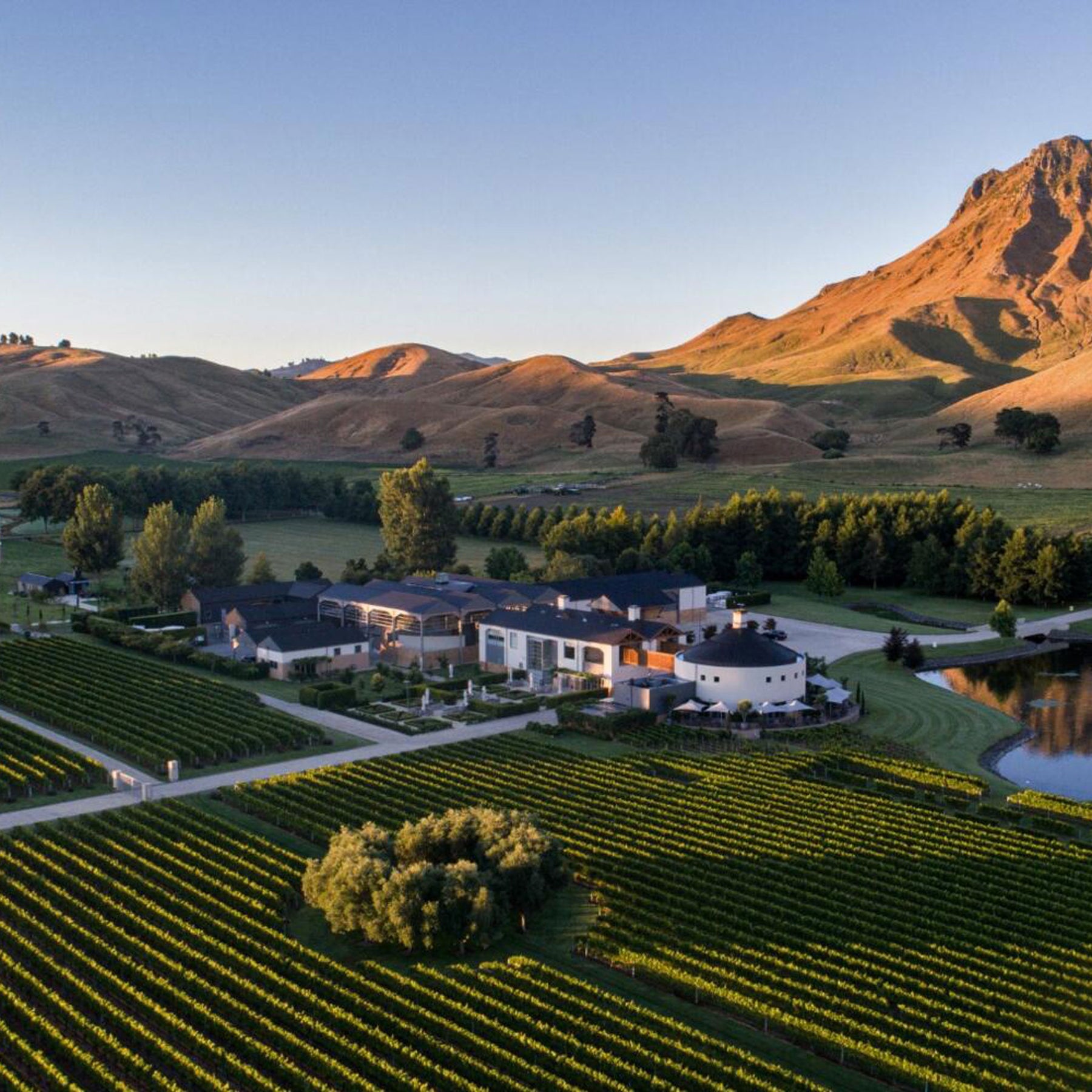 Craggy Range Hawkes Bay Rose 2025