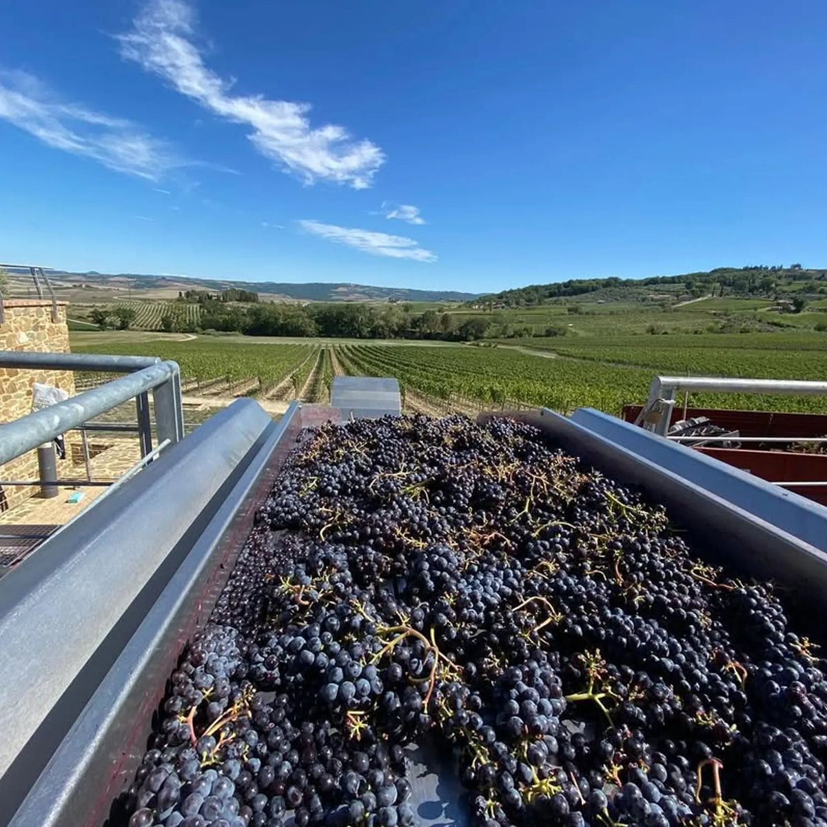 Canalicchio di Sopra Brunello di Montalcino Montosoli 2021