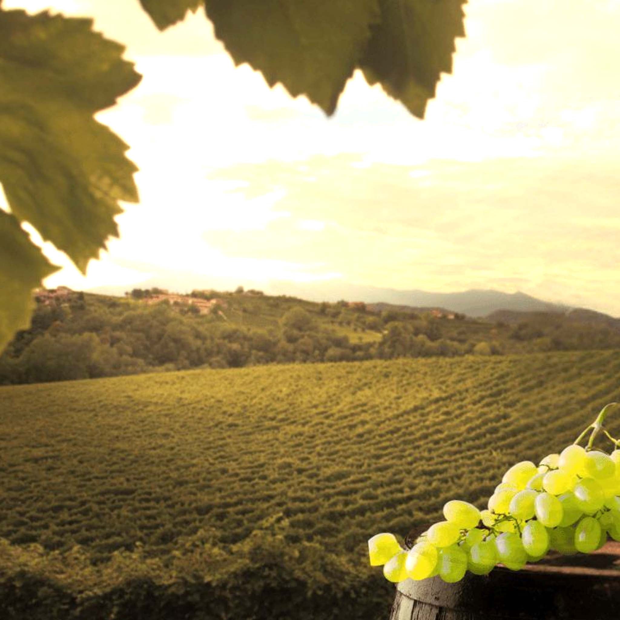 Cascina Ghercina