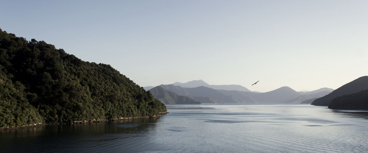 Catalina Sounds