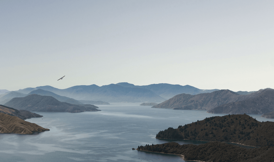 Catalina Sounds brand story