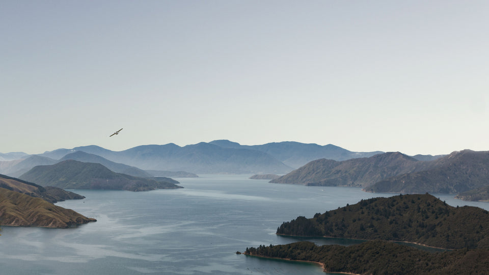 Catalina Sounds brand story
