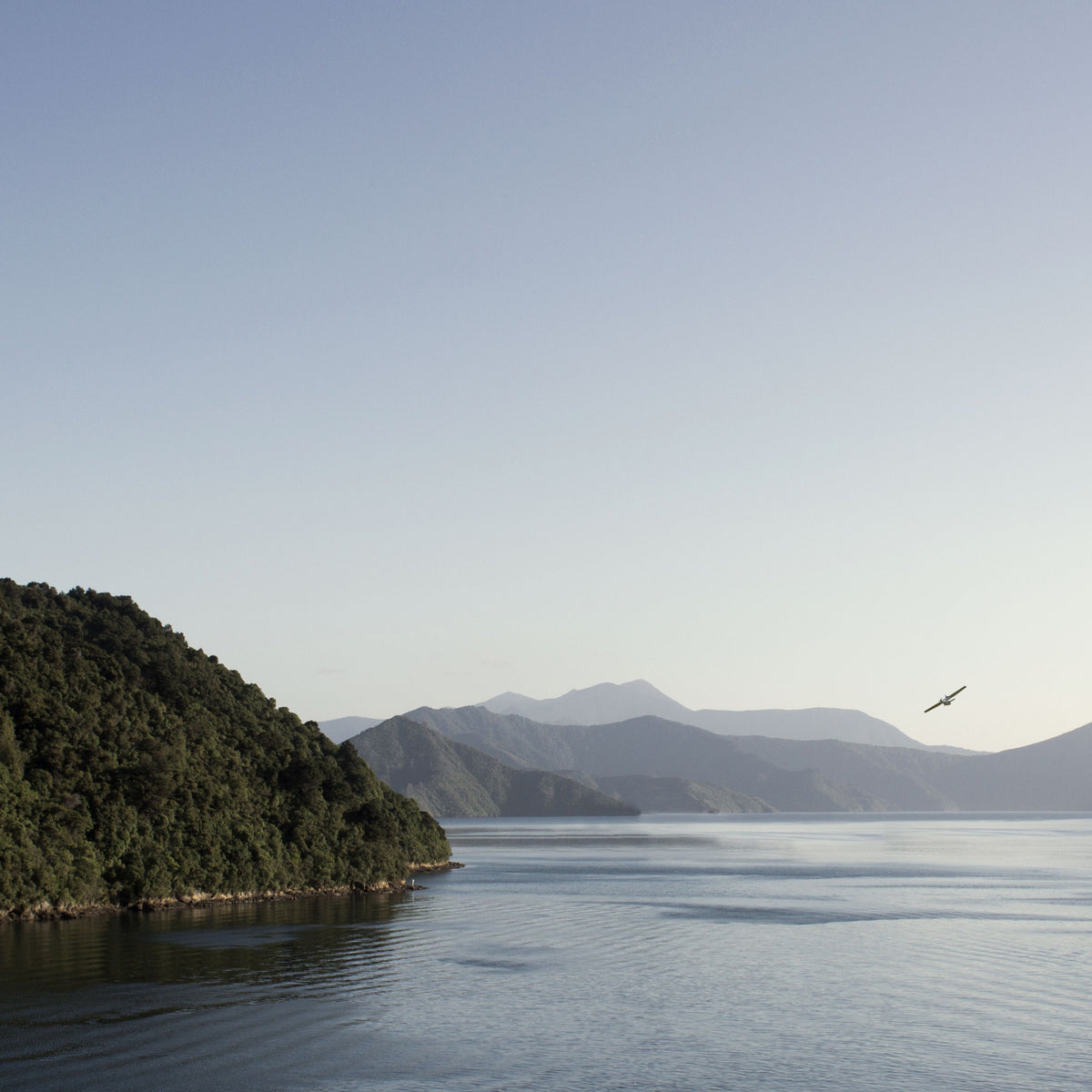 Catalina Sounds Chardonnay 2024