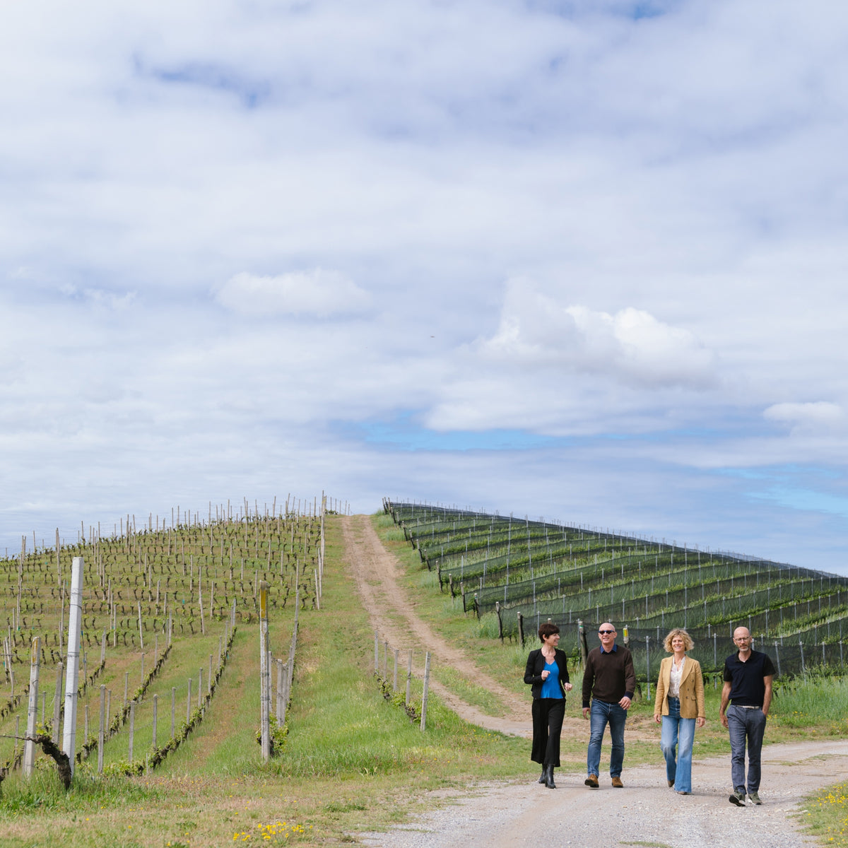 Ceretto Langhe D.O.C. Arneis Blangé 2024