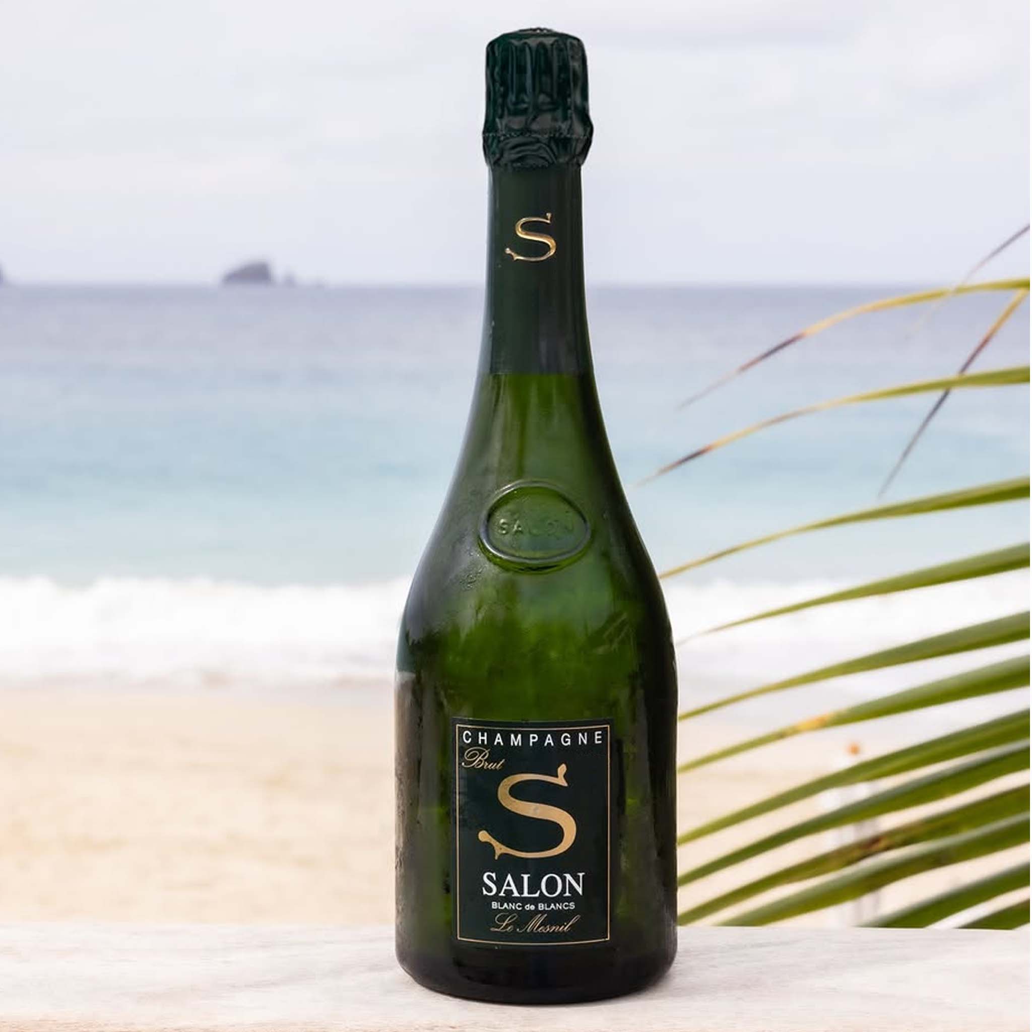 Champagne Salon Le Mesnil Blanc de Blanc 2006 | Kent Street Cellars