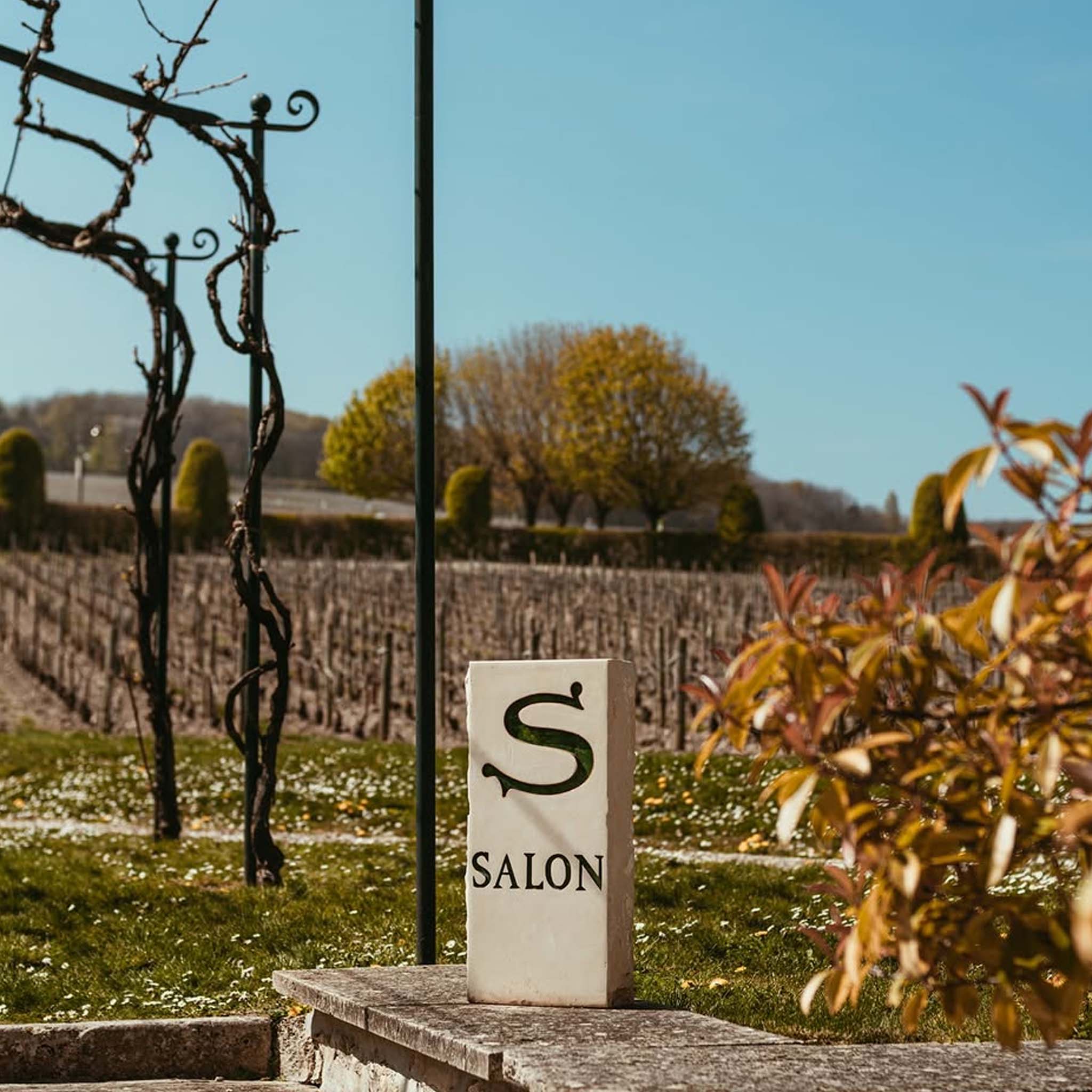 Champagne Salon Le Mesnil Blanc de Blanc 2006