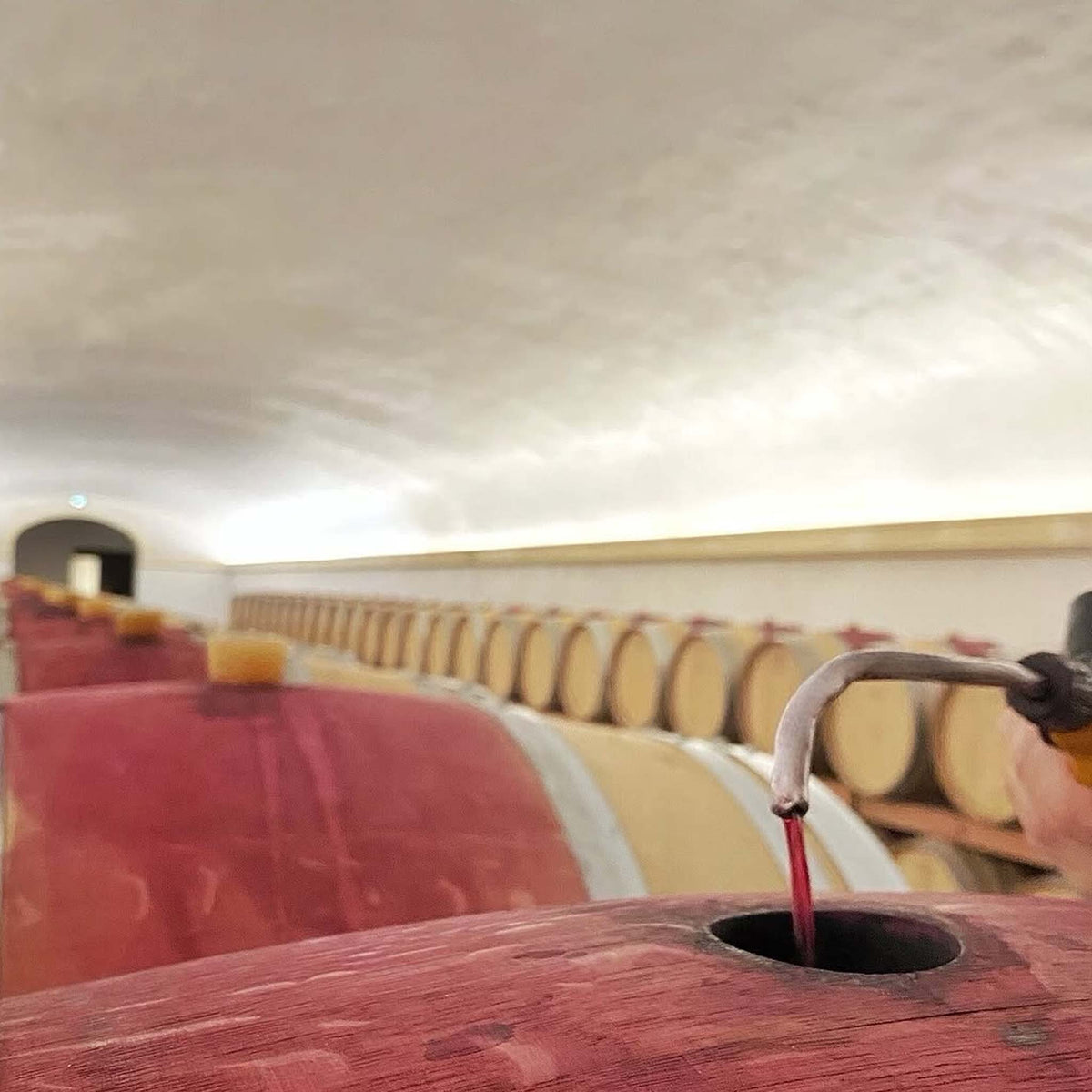 Château Mont-Redon Lirac 2022