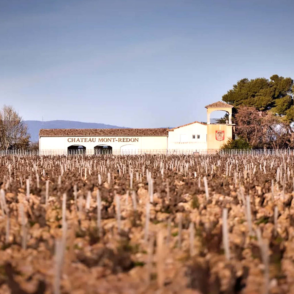 Château Mont-Redon Lirac 2022