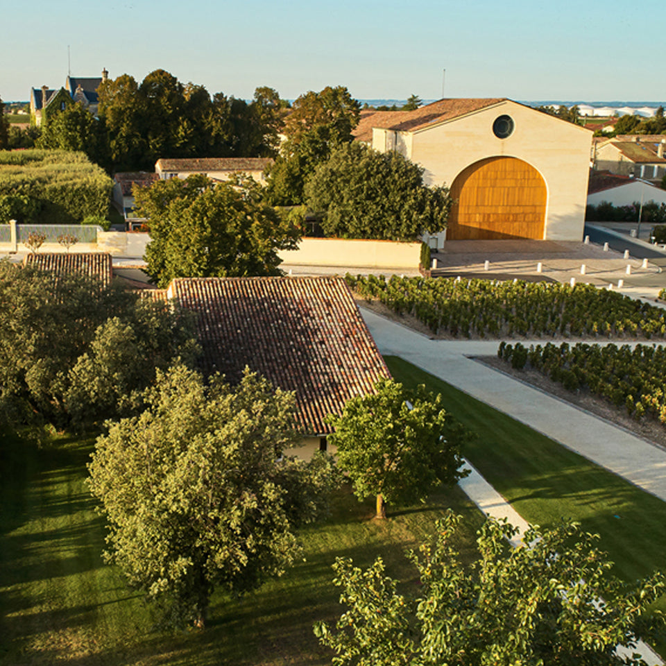 The Vineyard brand story