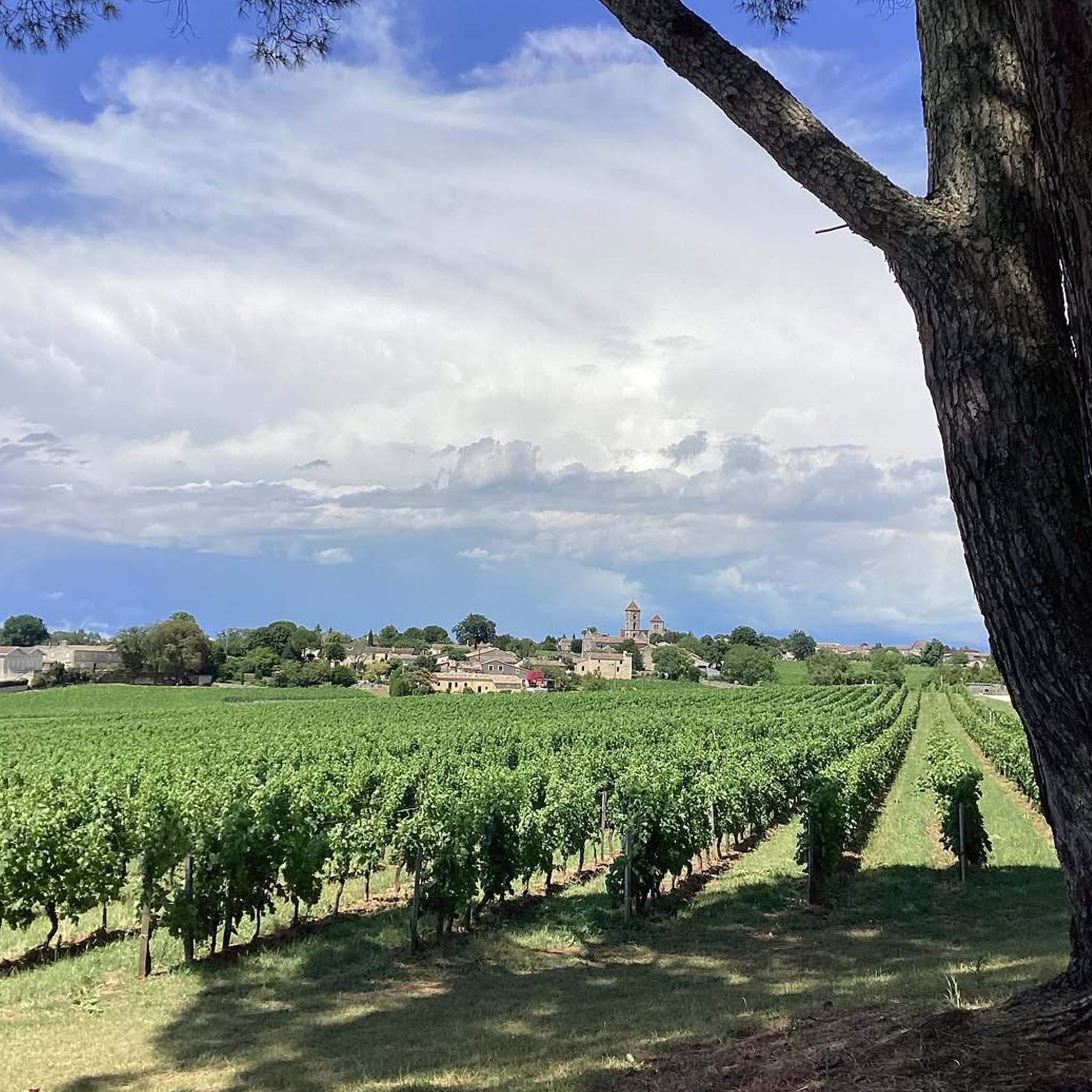 Chateau St. Georges Saint-Georges-Saint-Émilion 2019