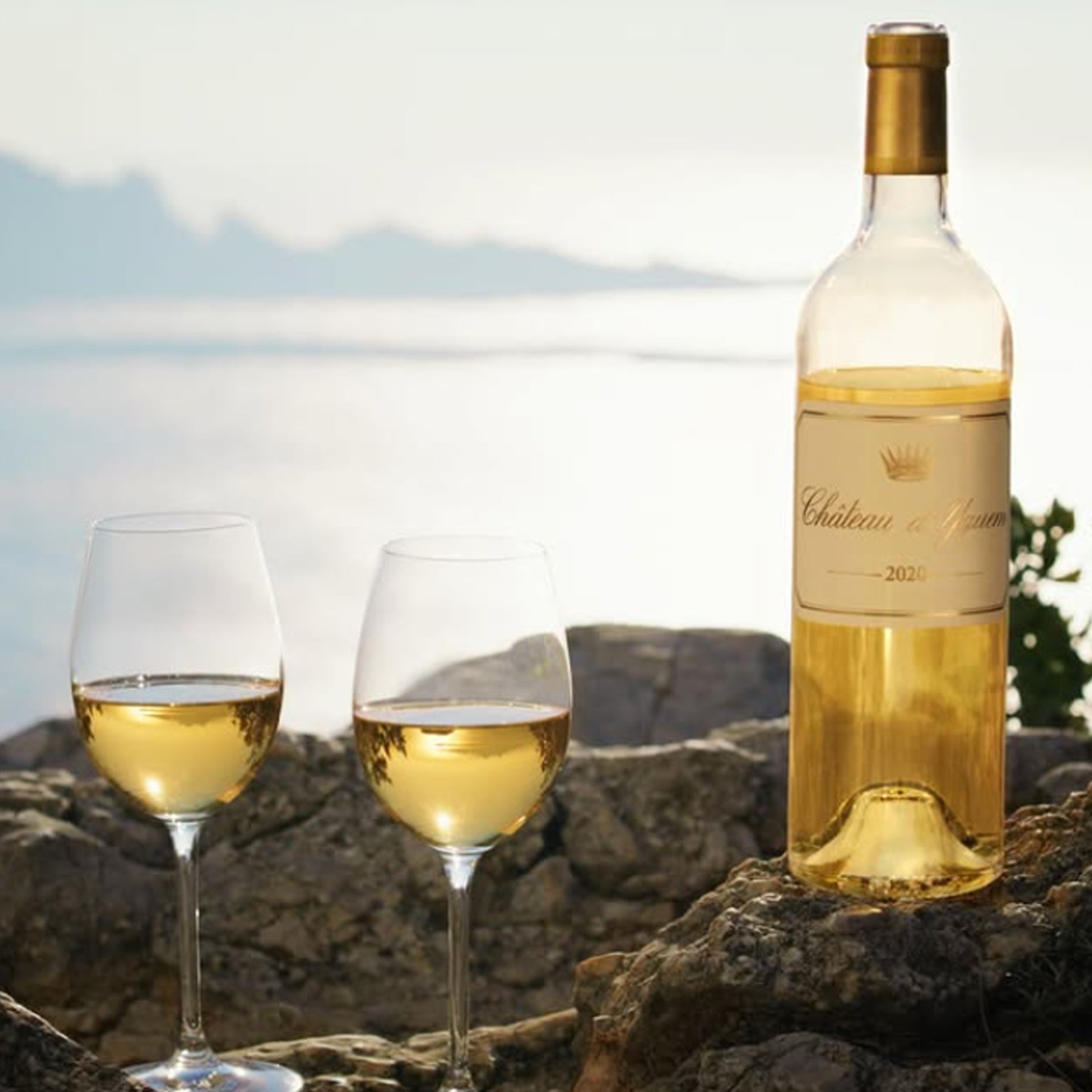 Chateau d'Yquem 2020 375ml - Kent Street Cellars