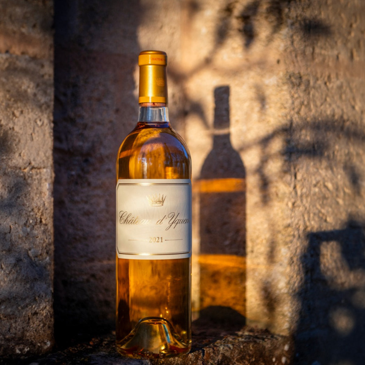 Chateau d'Yquem 2021 375ml - Kent Street Cellars