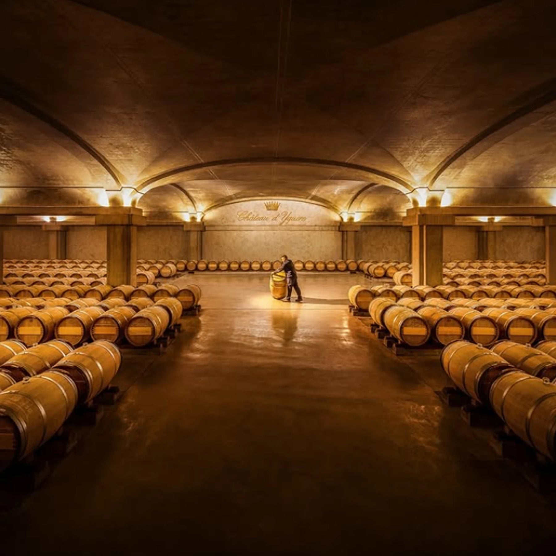 Château d'Yquem 2016 375ml