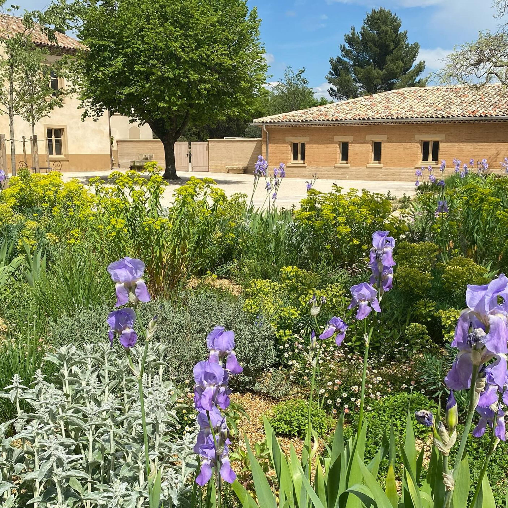 Chateau de Beaucastel