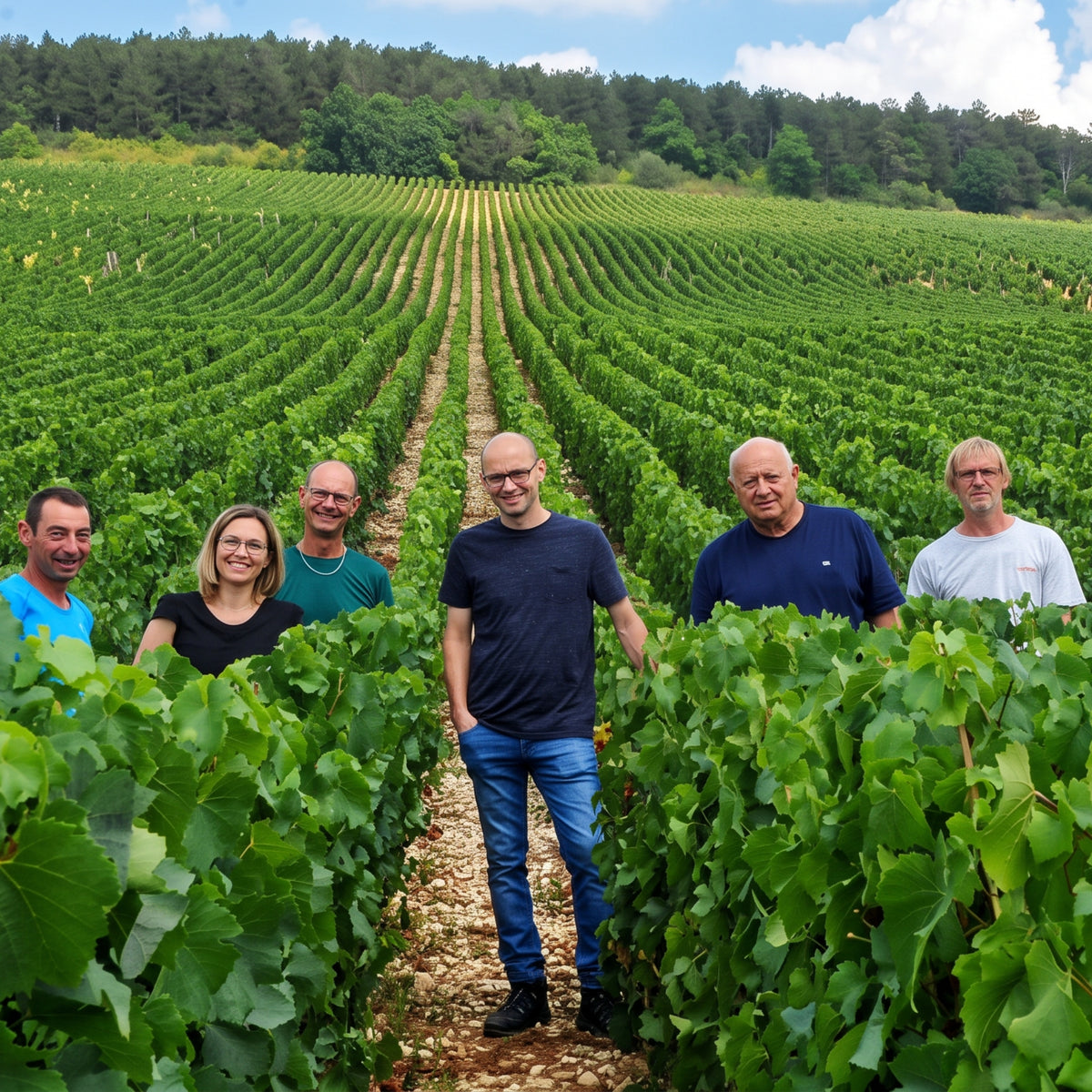 Domaine Christian Moreau Père Et Fils Chablis 2025