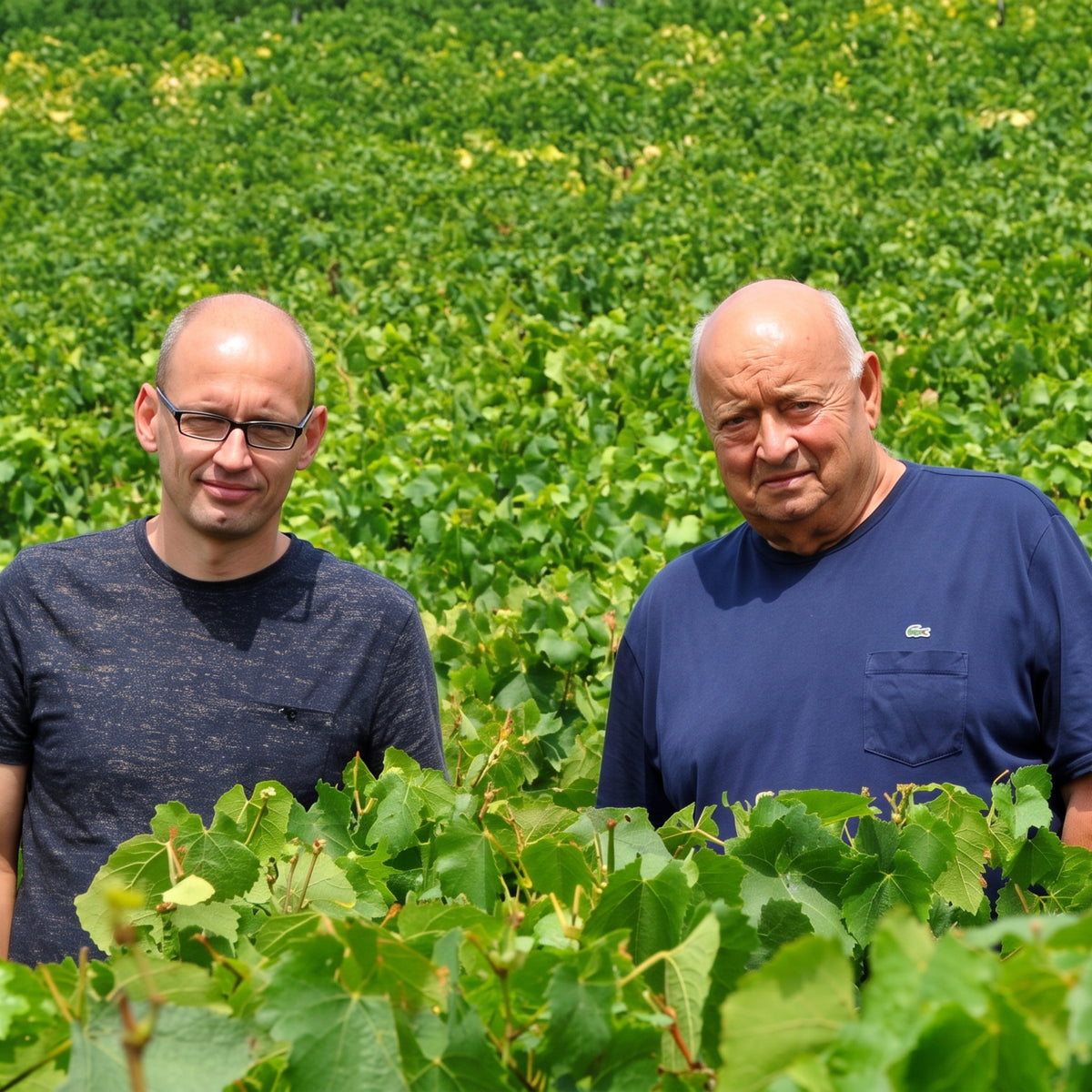 Domaine Christian Moreau Père Et Fils Chablis 2025