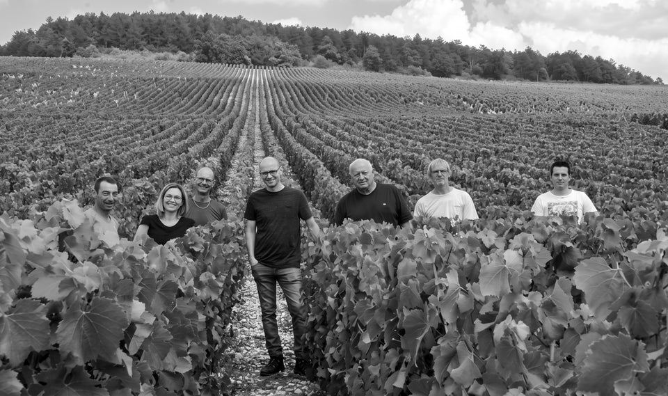 Vineyard brand story