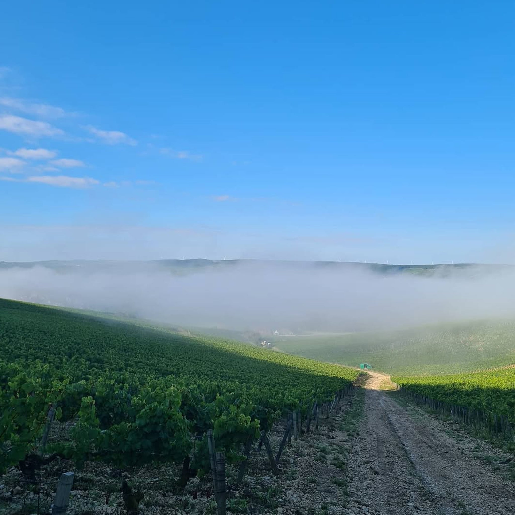 Domaine Christian Moreau Père Et Fils Chablis Grand Cru Les Clos 2023