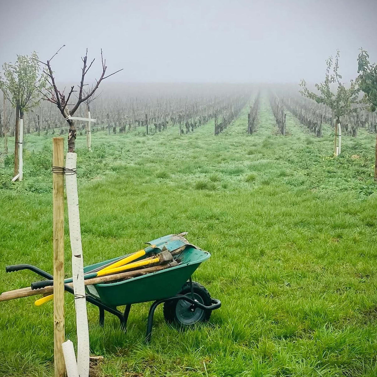Domaine Claude Riffault Les Denisottes Sancerre 2023