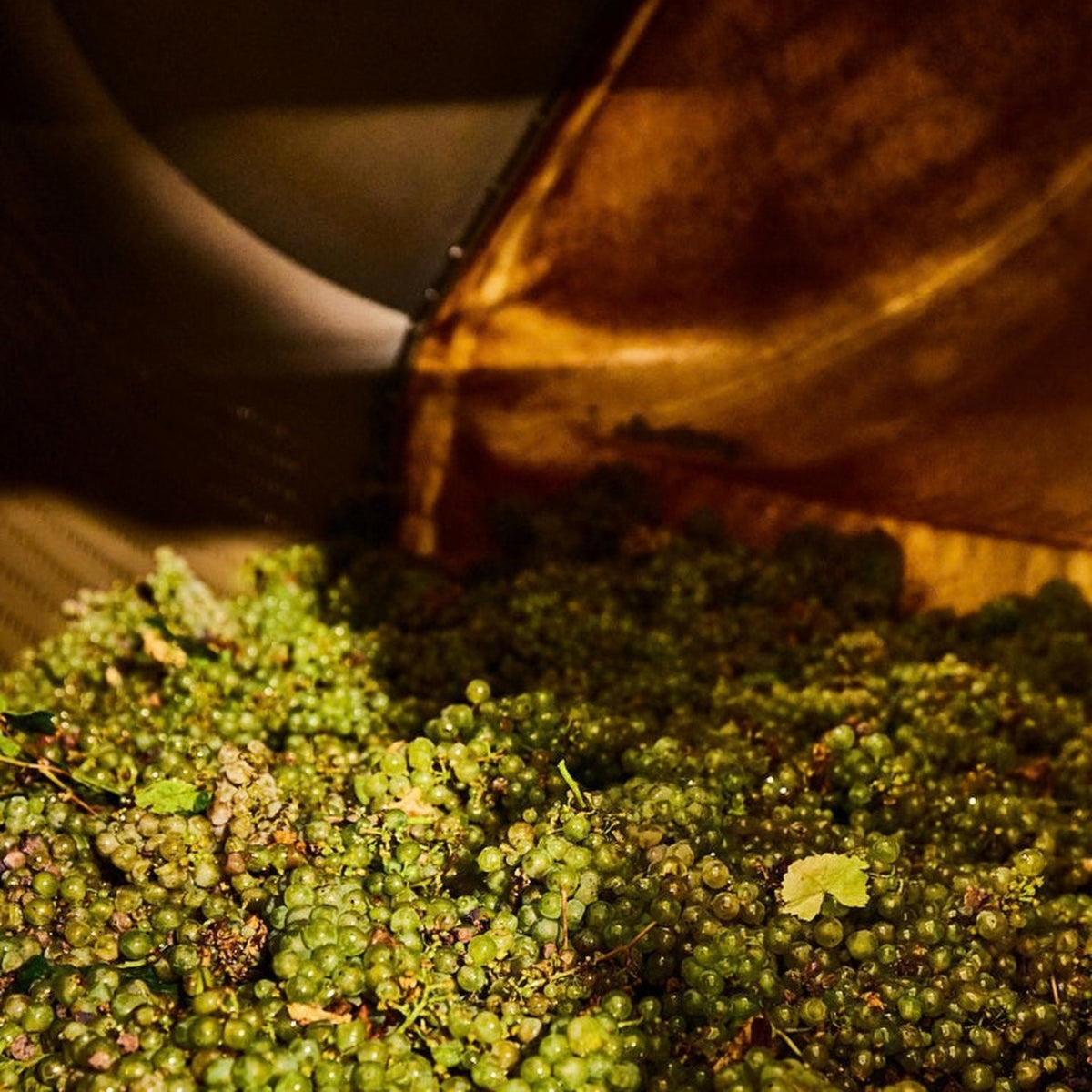 Clonakilla Riesling 2026