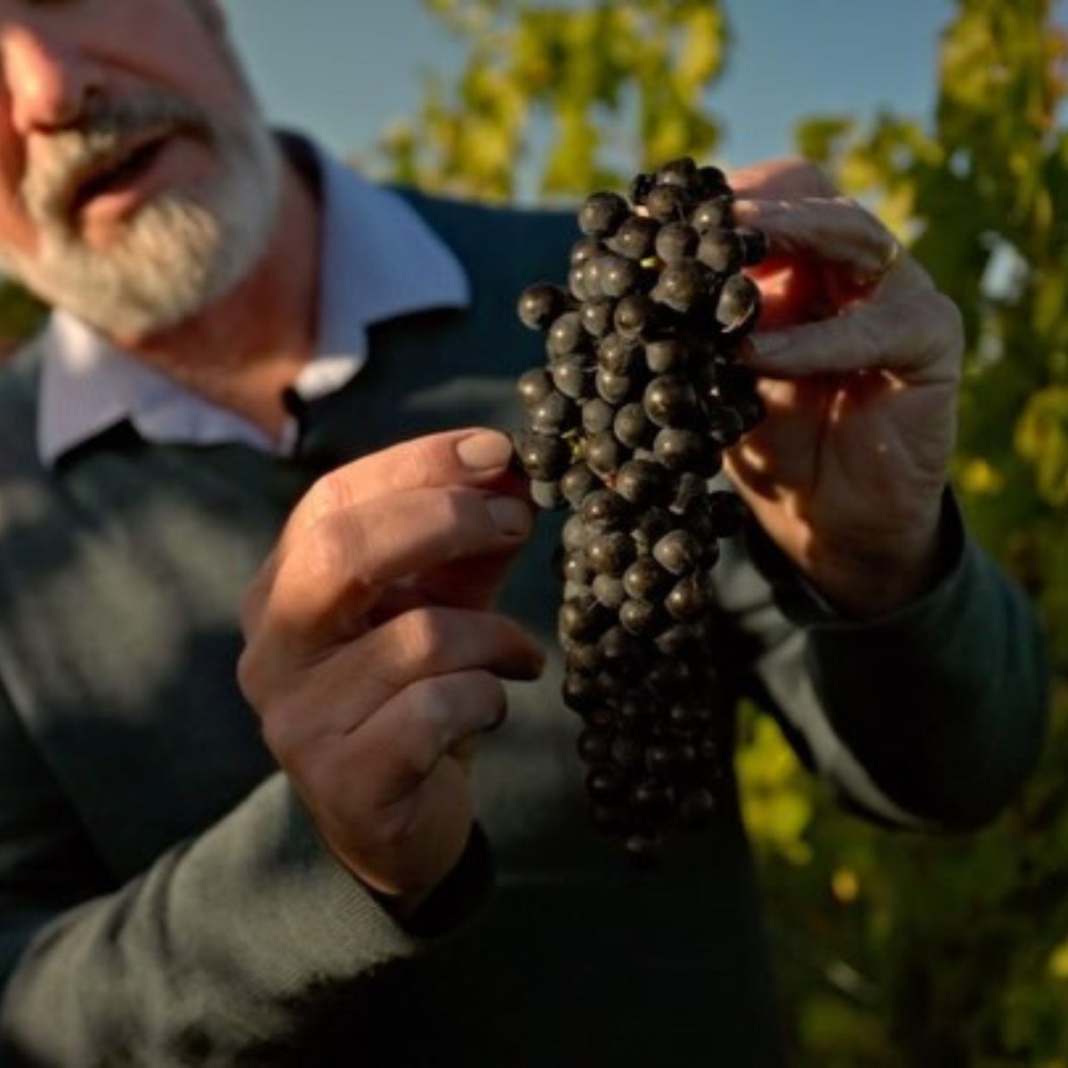 Clonakilla Shiraz Viognier 2002