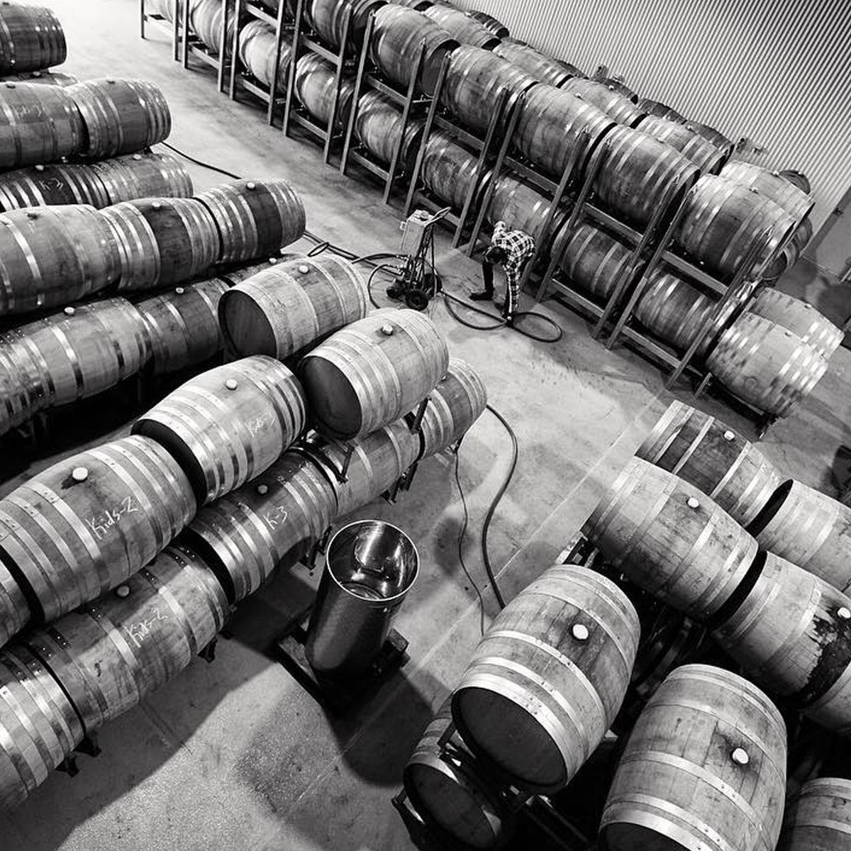 Clonakilla Riesling 2025