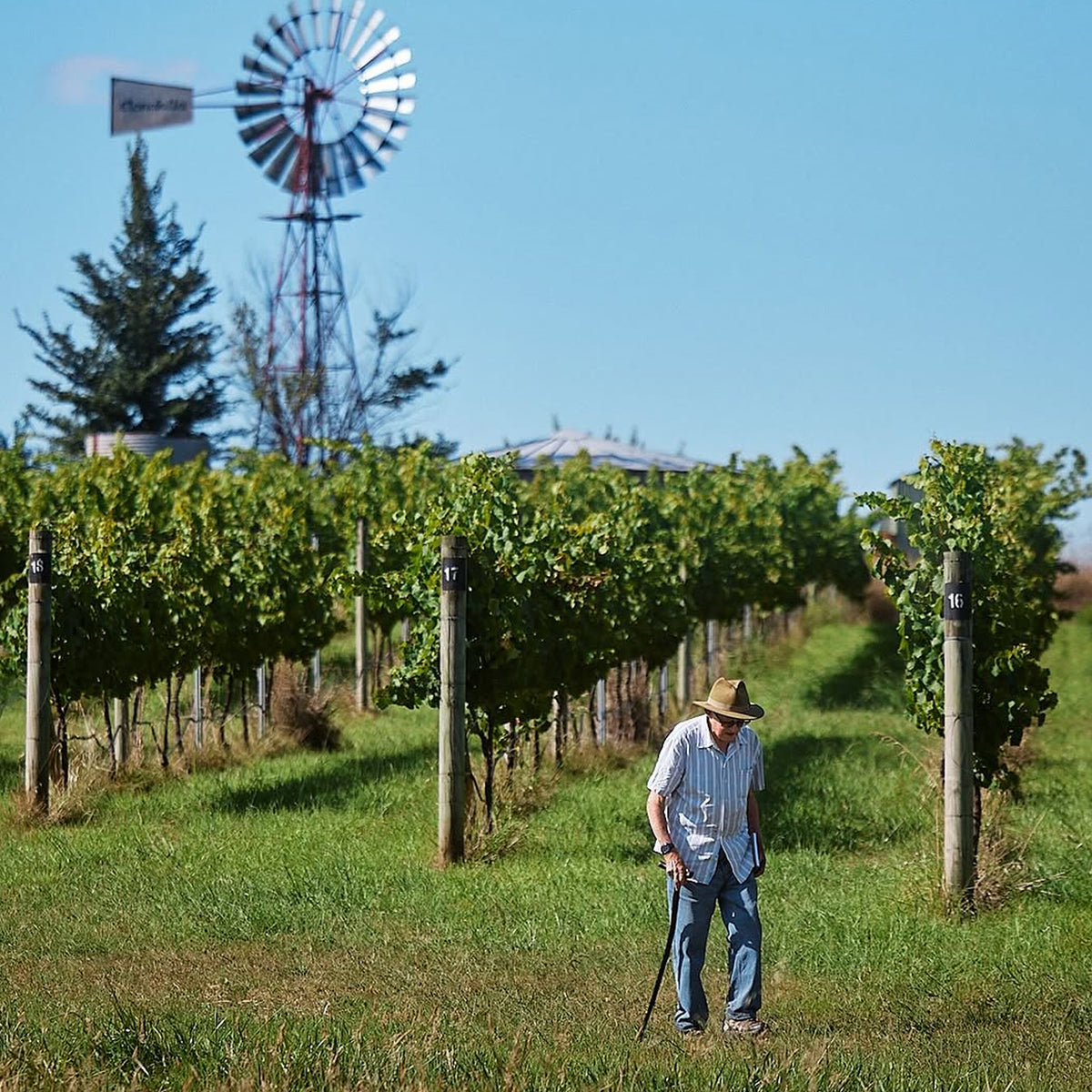 Clonakilla Riesling 2025