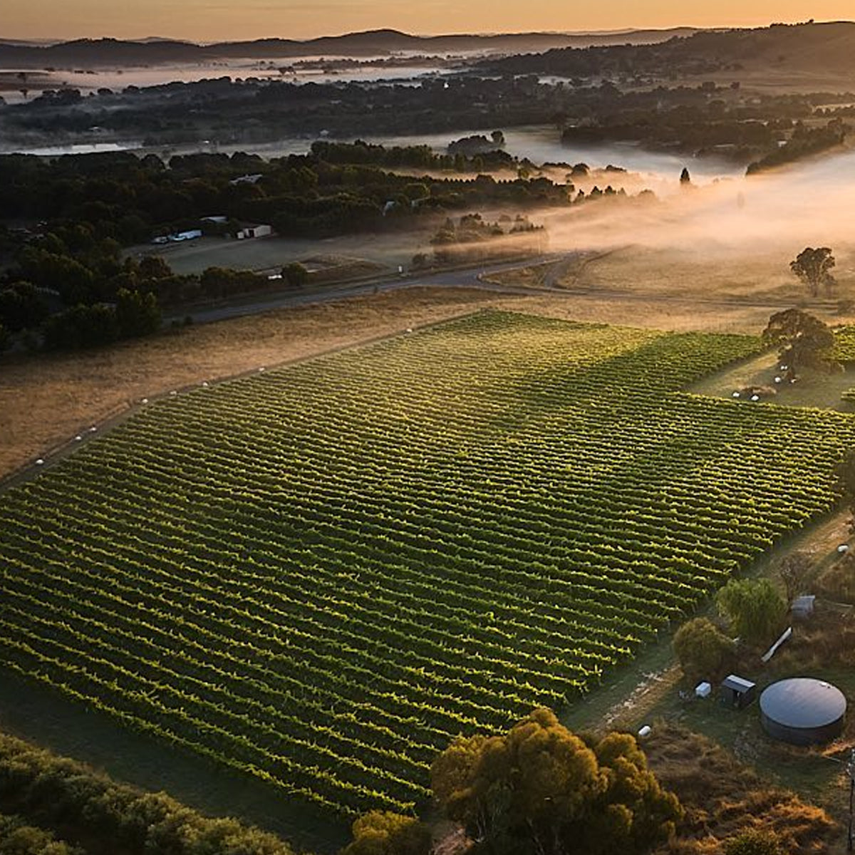 Clonakilla Chardonnay 2024