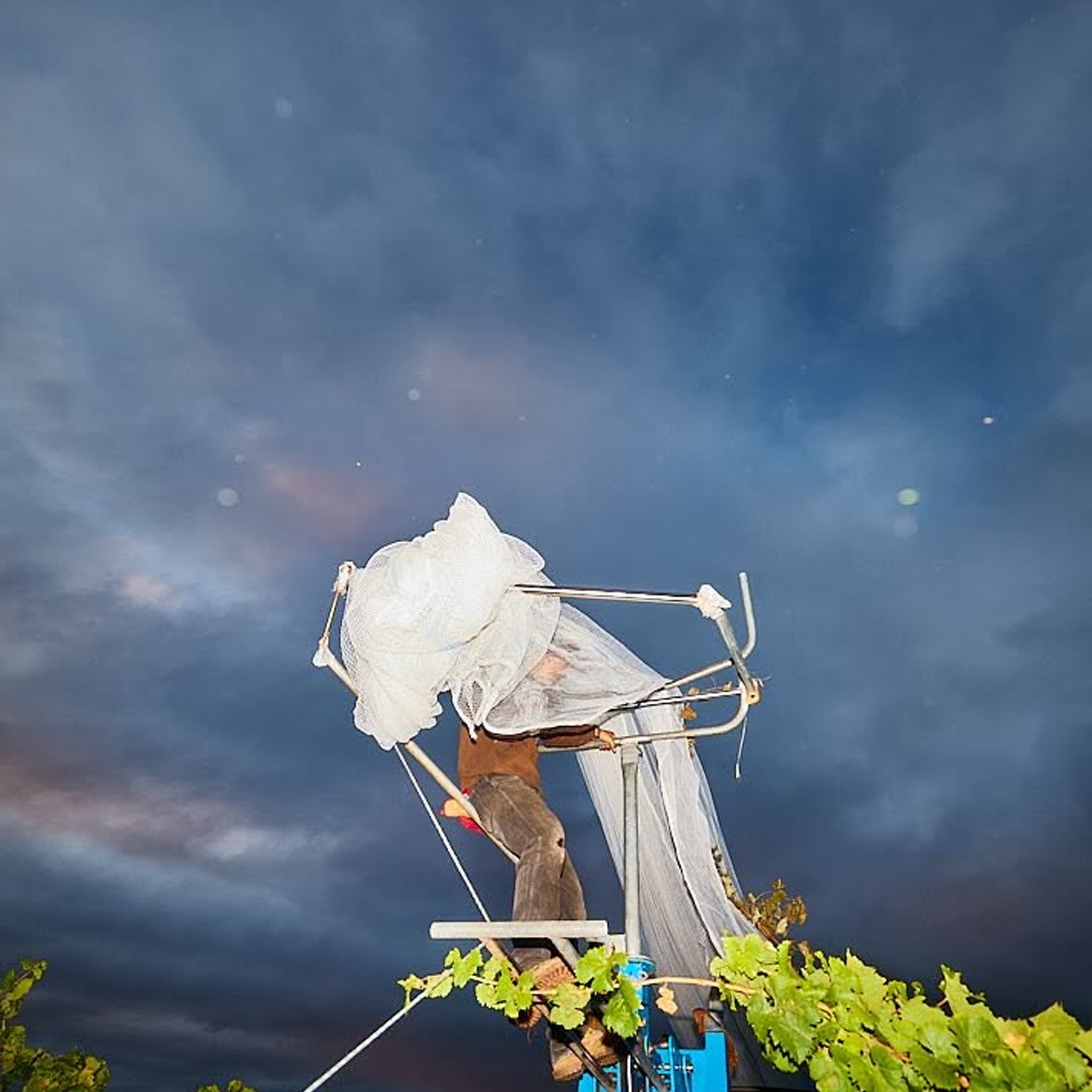 Clonakilla O'Riada Shiraz 2023