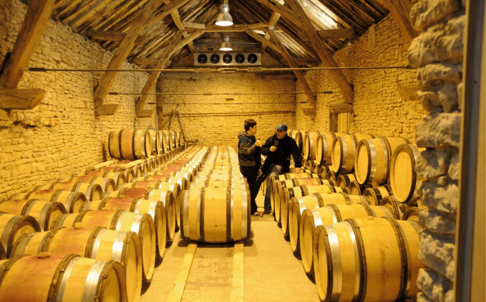 The Vineyard brand story