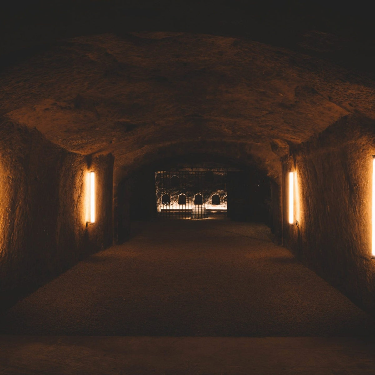 Domaine Clos Rougeard Saumur Champigny Le Clos 2020