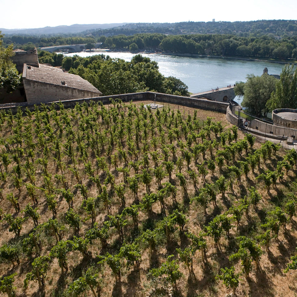 The Vineyard brand story