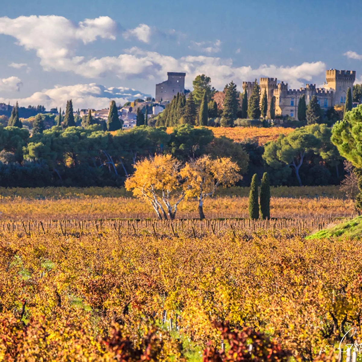 Clos des Papes Châteauneuf-du-Pape Blanc 2024