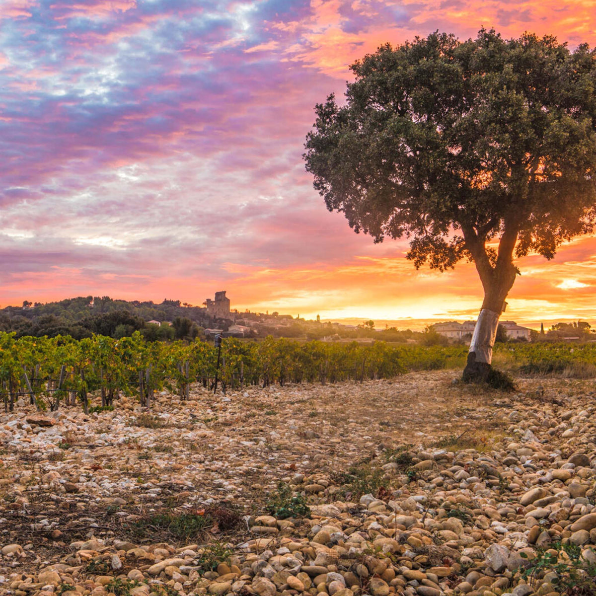 Clos des Papes Châteauneuf-du-Pape 2022