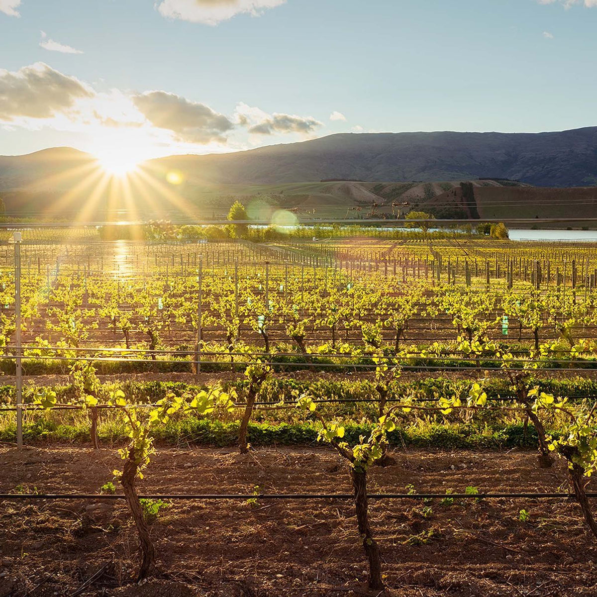 Cloudy Bay Chardonnay 2023