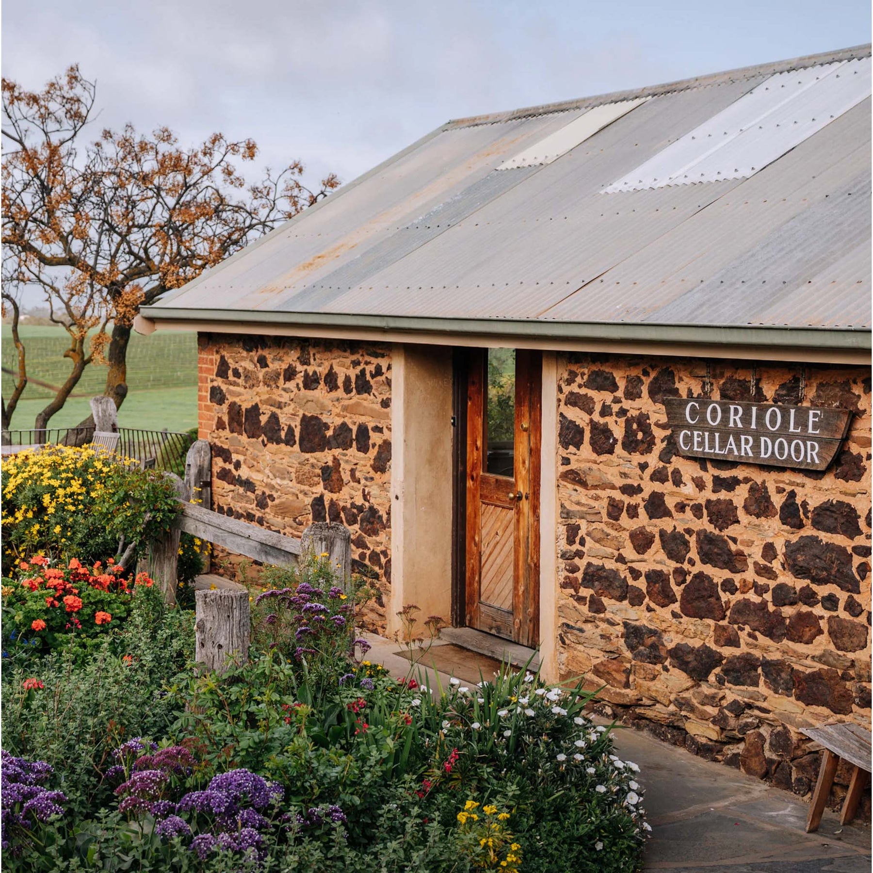 Coriole Estate Shiraz 2023