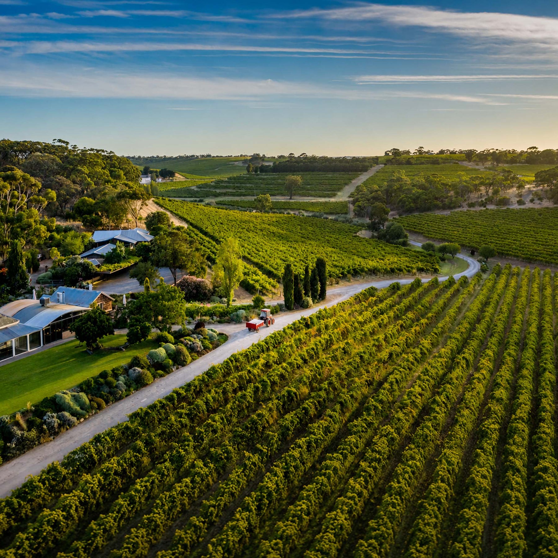 Coriole Estate Shiraz 2023