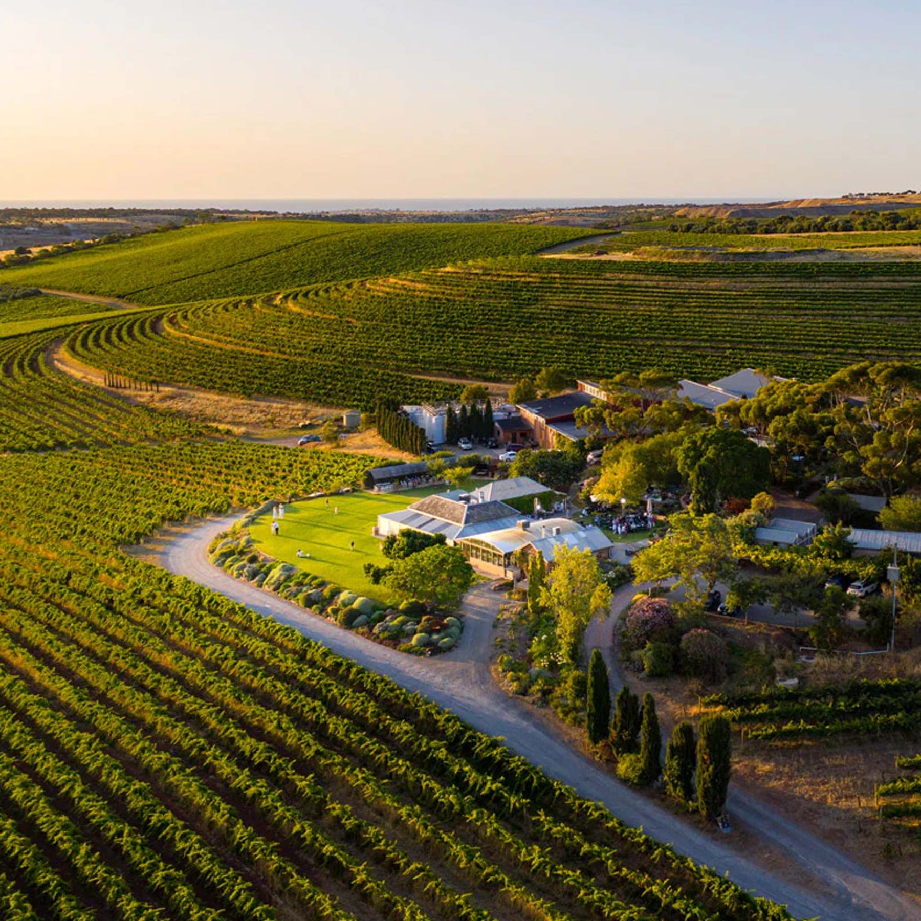 Coriole Estate Shiraz 2023