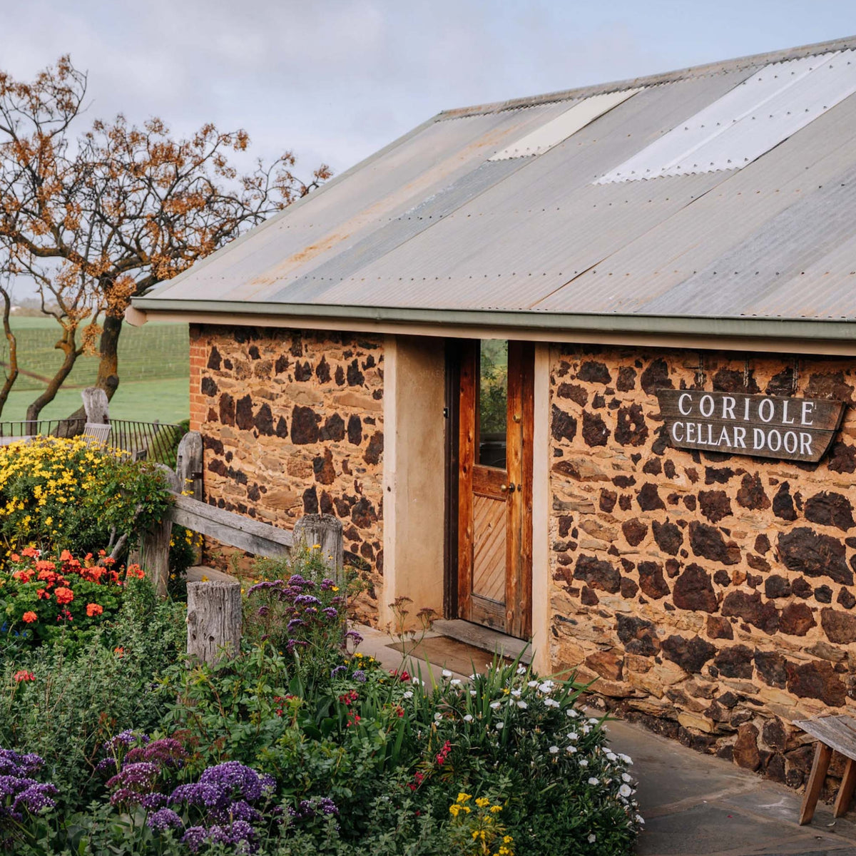 Coriole Estate Shiraz 2023